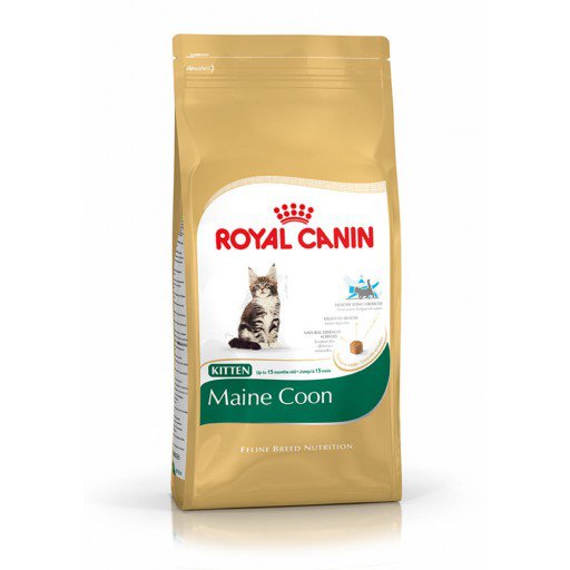 Royal Canin Maine Coon Kitten, cухой корм для котят Мейн-кун от 3 до 15 месяцев