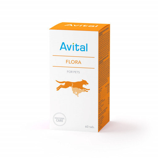 Avital Flora (Авиталь Флора), для кишечника, 60 таб.