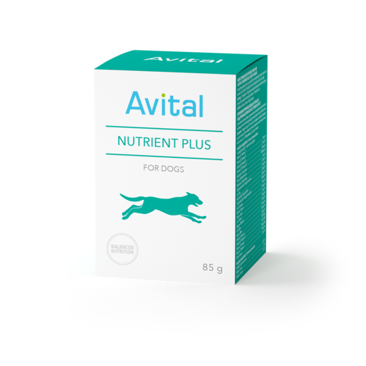 Витамины для собак Avital Nutrient Plus, 85 гр.